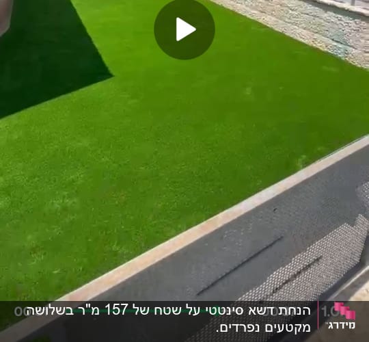 דשא ירוק בחצר עם גדר